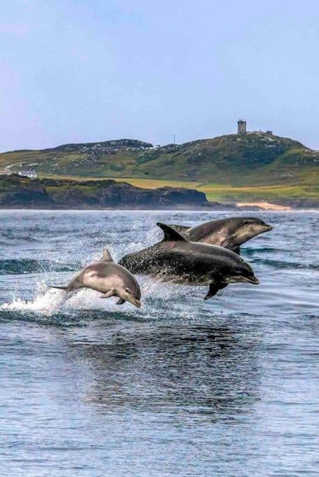 Cosy Portmor Log Cabin- Sea Views, Deck & Relaxation Malin Head Eksteriør billede